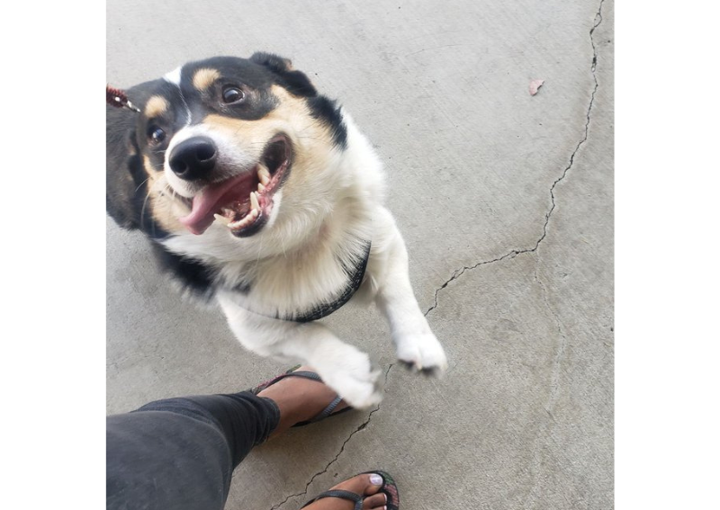 Carousel Slide 4: Happy boy after his health exam