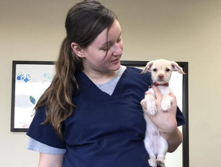 Preventive Dental Care